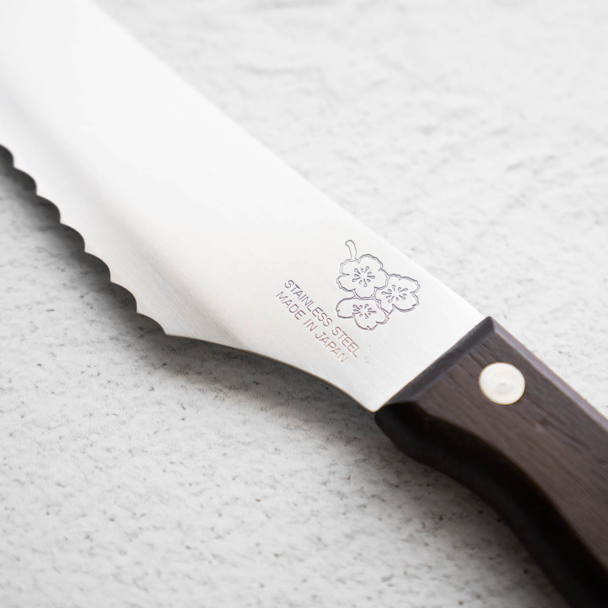 Stainless Steel Bread Knife 270mm